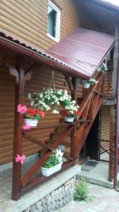 un ponte di legno con piante in vaso di Pid Playem a Volovets