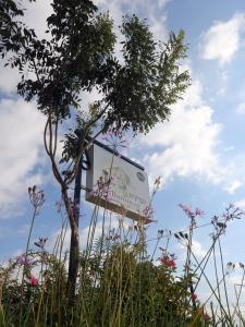 ein Plakat mitten auf einem Blumenfeld in der Unterkunft HaBaronit in Metulla
