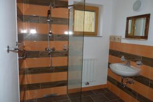 Bilik mandi di Guest House Eco Vila Mila