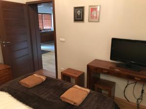 a bedroom with a bed with a television and a table at Bystra Woda Apartament Słoneczny in Zakopane