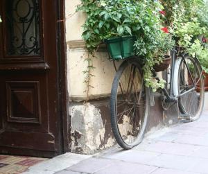 Jazda na bicykli v okolí ubytovania Kacza Chata - willa z jacuzzi