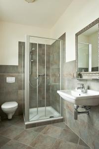 a bathroom with a shower and a sink and a toilet at Hotel Bess in Albersdorf