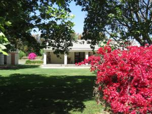 Broadlands Country House外面的花园