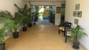 a hallway filled with potted plants in a building at La Mer Apartments - 10 mins Drive to Candolim Beach - 20 mins from Panjim in Nerul