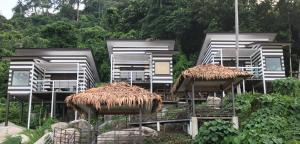 Ein Garten an der Unterkunft The Barat Tioman Beach Resort
