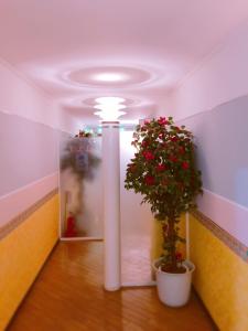 Fotografie z fotogalerie ubytování Hotel Elegance (Love Hotel) v destinaci Karacu