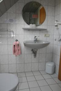 a bathroom with a sink and a toilet and a mirror at Weingut & Gästehaus Stephan Kohl in Neumagen-Dhron