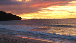 a group of people surfing in the ocean at sunset at Tampat do Aman in Kudat