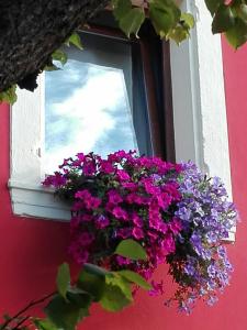 Fotografie z fotogalerie ubytování B&B Pontesello v destinaci Colognola ai Colli