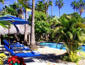 a pool with blue chairs and an umbrella and palm trees at Hacienda Todos Los Santos in Todos Santos