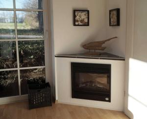 a living room with a fireplace with a bird on top at Ferienwohnung S_stjern in Schönhagen