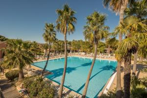 uma piscina com palmeiras e espreguiçadeiras em Résidence Pierre & Vacances Les Rives de Cannes Mandelieu em Mandelieu-la-Napoule
