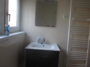 een badkamer met een witte wastafel en een spiegel bij Emderhaus in Emden