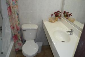 Gallery image of Hotel Victoria in Hanga Roa