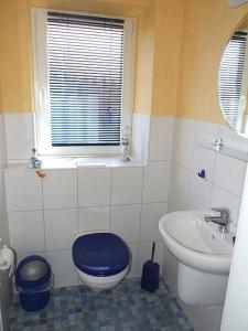 a bathroom with a blue toilet and a sink at Ferienhaus Kajuete in Schönhagen