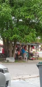 a group of people sitting at tables under a tree at Homesweet Homestay Jasin in Melaka