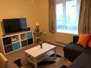 TV at/o entertainment center sa Cozy apartment in Stratford from 18 minutes to Central London