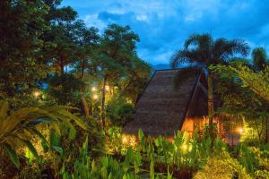 Pura Vida Pai Resort في باي: منزل قديم في الغابة في الليل