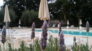 Bazén v ubytování Valata Minusa Country Resort nebo v jeho okolí