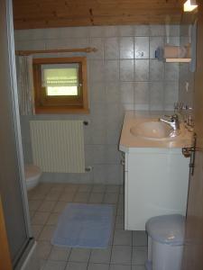 ein Bad mit einem Waschbecken und einem WC in der Unterkunft Appartements Karin Mitten im Grünen in Schoppernau