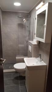 a bathroom with a toilet and a sink and a shower at Michael Apartment with 2 Rooms near Gozsdu udvar in Budapest
