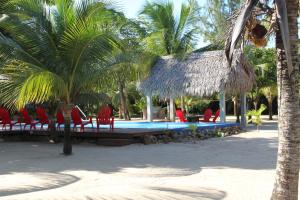 Foto da galeria de Lost Reef Resort em Riversdale