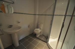 a bathroom with a toilet and a sink and a shower at Princes Dock Chambers 9 in Hull