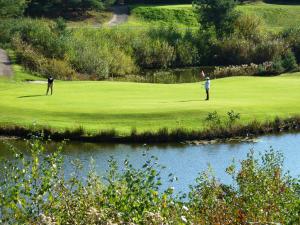 twee mensen die golfen op een groen naast een rivier bij Golf-Resort Brunssummerheide in Brunssum