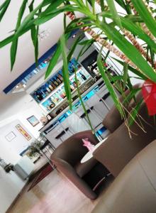 Πισίνα στο ή κοντά στο Hotel Arabesco