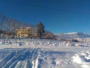 un campo cubierto de nieve con una casa en el fondo en Vila Rem, en Bran