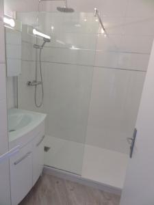 un bagno bianco con doccia e lavandino di Katarina a Vittel
