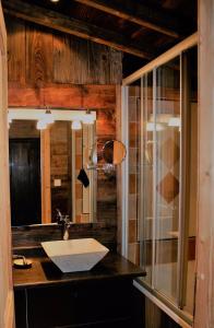 Bathroom sa Tignes duplex luxe parking 6-8 p