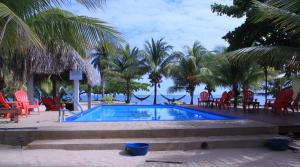 een zwembad met palmbomen en uitzicht op de oceaan bij Lost Reef Resort in Riversdale