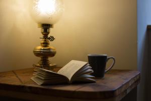 The library in the country house