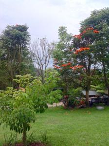 park z czerwonymi kwiatami na drzewach i trawie w obiekcie Monteverde Chalet de Montaña w mieście Guarne
