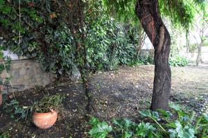 Fotografie z fotogalerie ubytování Posada de los Velez v destinaci La Paz + 9 fotografií