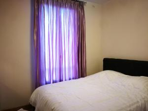 een slaapkamer met een bed en een paars gordijn bij chambre noisy in Noisy-le-Sec
