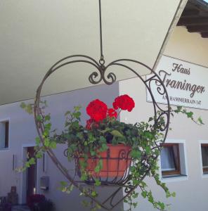 Fotografia z galérie ubytovania Haus Traninger vo Flachau