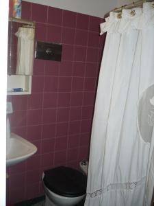 a bathroom with a toilet and a white shower curtain at mar de ajo norte dto. 3 amb frente al mar P.B. in Mar de Ajó