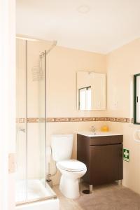 uma casa de banho com um WC, um lavatório e um chuveiro em Casal Riquezo T2-1.o- Serra da Pescaria - Nazare na Nazaré