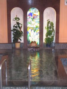 a room with a pool of water with stained glass windows at Biwaike Hotel in Yamanouchi