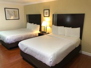 a hotel room with two beds and a lamp at Lombard Plaza Motel in San Francisco
