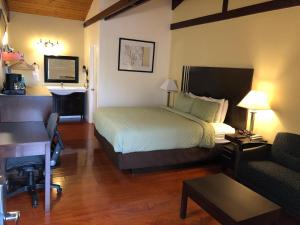 um quarto de hotel com uma cama e uma secretária em Lombard Plaza Motel em São Francisco