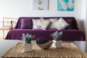 Posezení v ubytování Apartments Vista + 32 fotografií