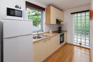Kuchyň nebo kuchyňský kout v ubytování Apartments Vista