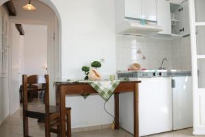 A kitchen or kitchenette at Kolona Studios