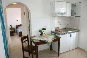 A kitchen or kitchenette at Kolona Studios