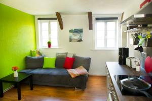 sala de estar con sofá gris y almohadas coloridas en Ferienwohnung Goslar Runenhaus en Goslar