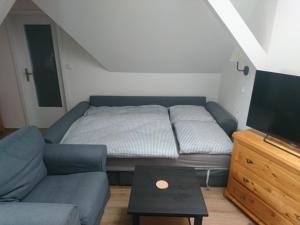 uma sala de estar com um sofá e uma televisão em ubytovani u Javoru 232/8 em Pec pod Sněžkou
