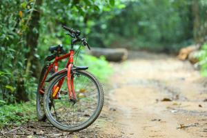 a red bike parked on a dirt trail at Vagamon Heights in Vagamon +55 photos